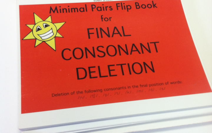 Sunny Speech Minimal Pairs Flip Book for FCD {A Product Review}